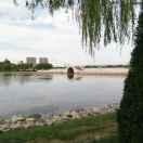 心靈的港灣的頭像