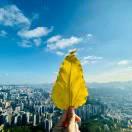 陳釀三分的頭像