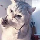 殘留&笑顏的頭像