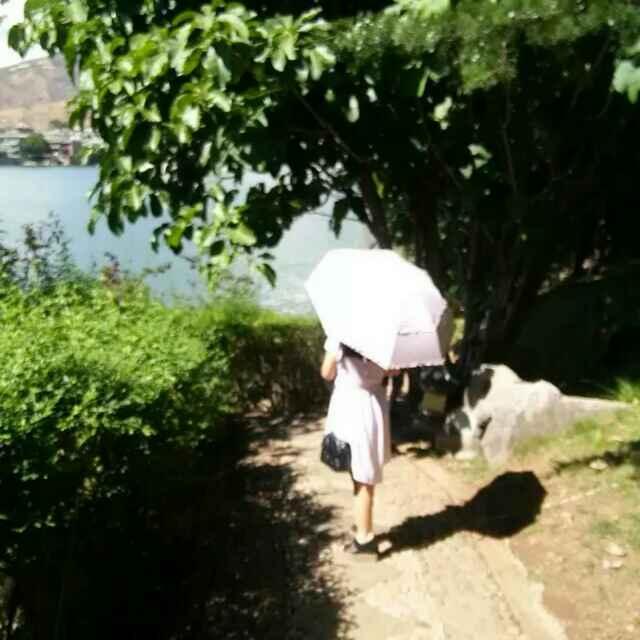 布谷布谷的頭像