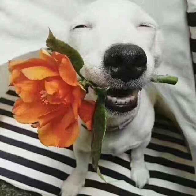 用十年的青春℡趕赴你?的頭像