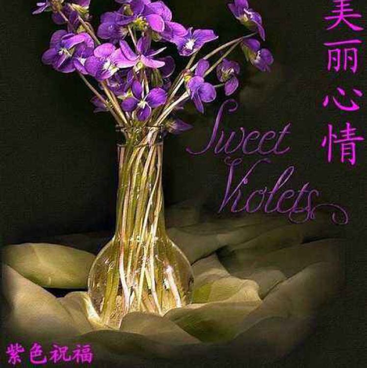 從頭再來的頭像