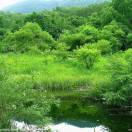 清水出芙蓉，芙蓉凈清水的頭像