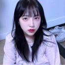 大耳朵圖圖的頭像