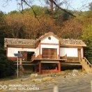 ?????晉?????的頭像