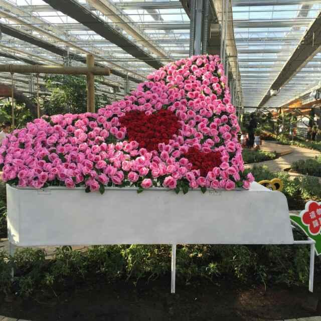 愛與恨之間的頭像