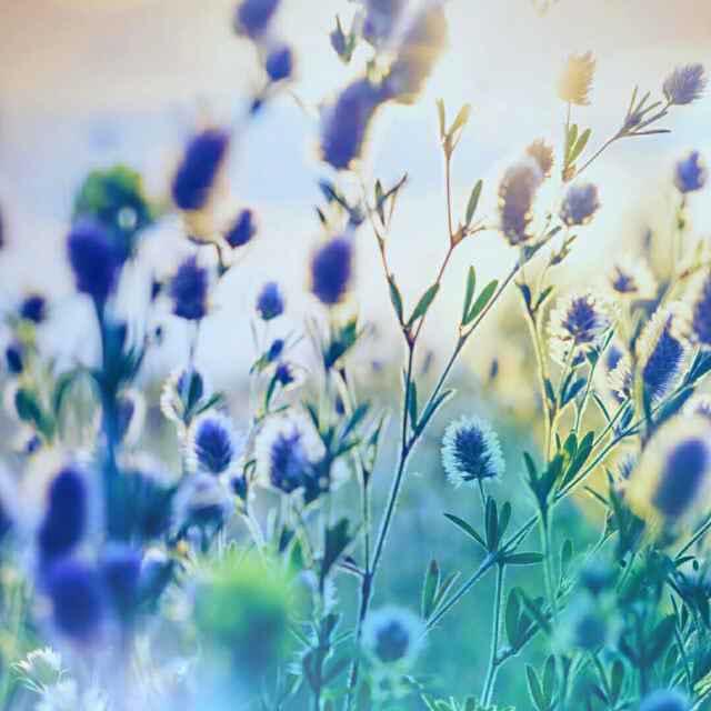 海闊天空的頭像