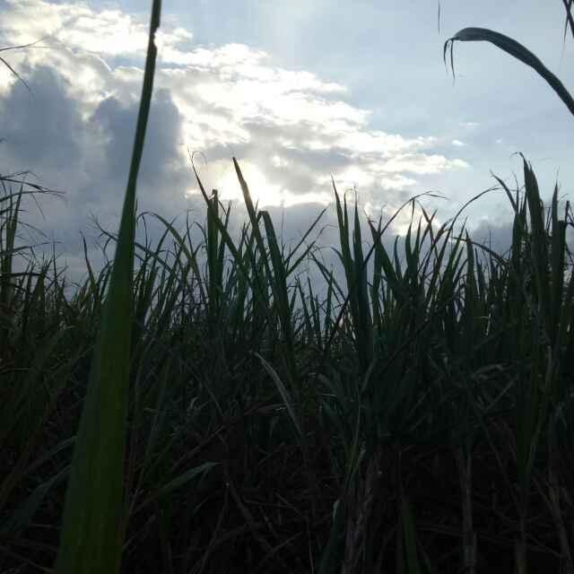 幸吉如平的錦惠的頭像