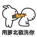 寧負(fù)天下不負(fù)卿的頭像