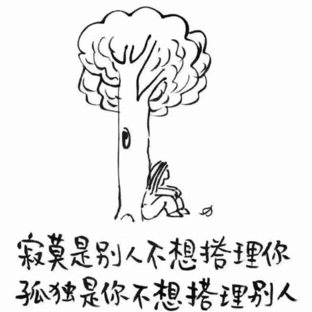 king-小晴天的頭像