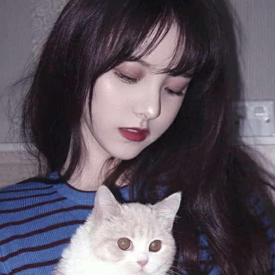 滿目星辰的頭像