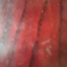 正在加載中的頭像