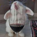 Jerry太陽撐圓的頭像