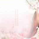 該用戶未設置昵稱的頭像