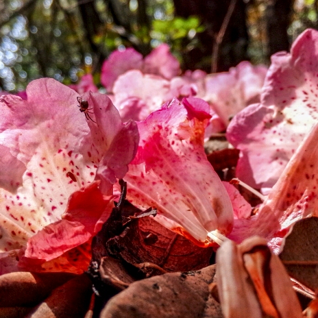 一切安好的頭像
