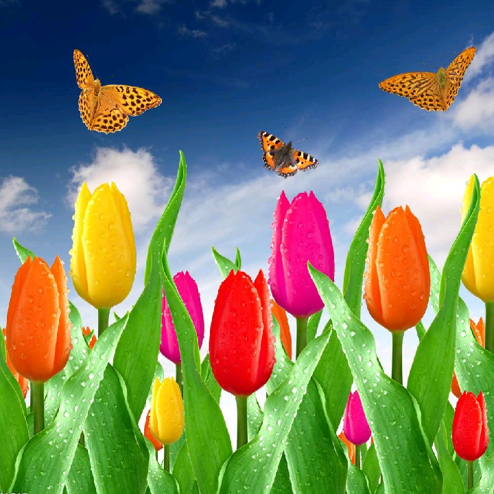 思憶漫長的頭像