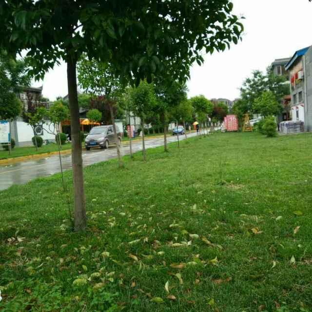 心想事成的頭像