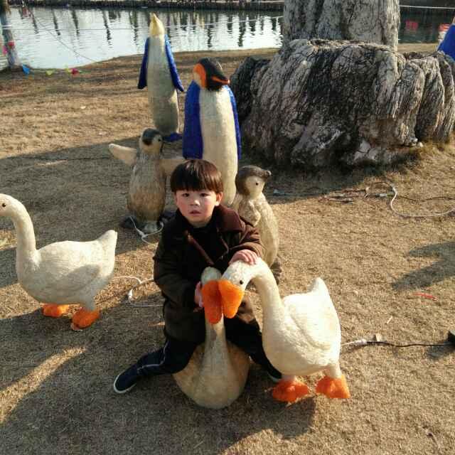 雪風(fēng):-c的頭像