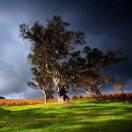 相鄰而望的頭像