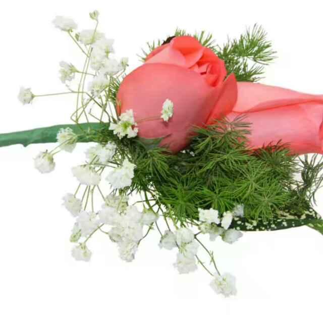 妍媚花藝18576533726的頭像