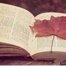 傲雪寒梅的頭像