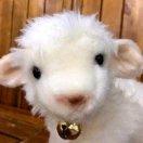 我想看星星的頭像