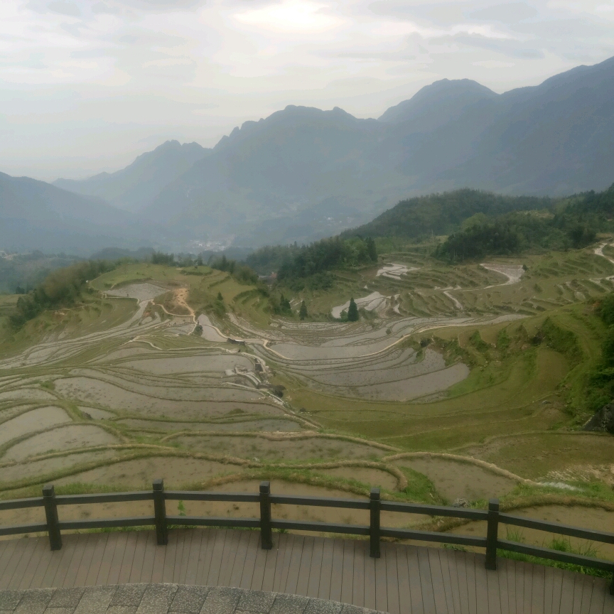 人在屋檐上的頭像