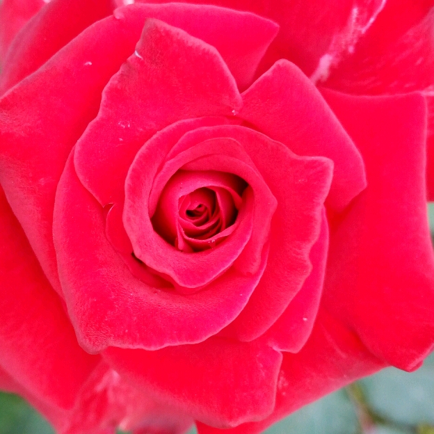 秋天的風的頭像