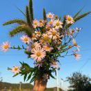 時光清淺的頭像