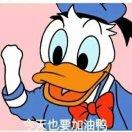 仙女味的小魔女的頭像