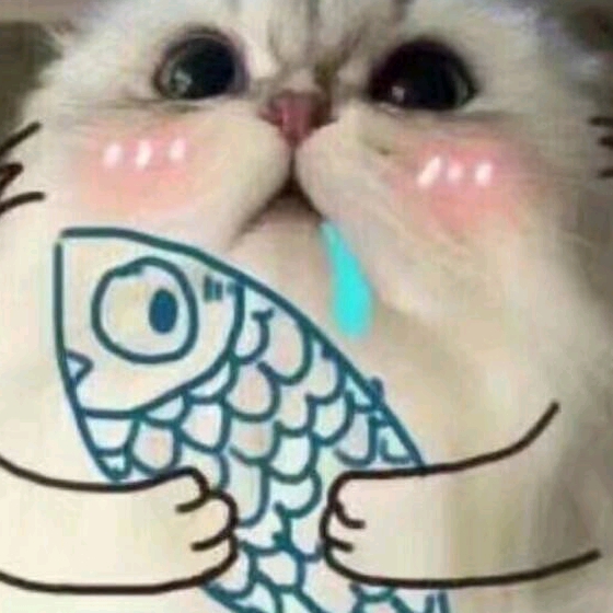 洞樹法魔的習實小的頭像