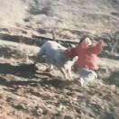 舊巷子里的貓的頭像