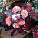 想去旅行的頭像