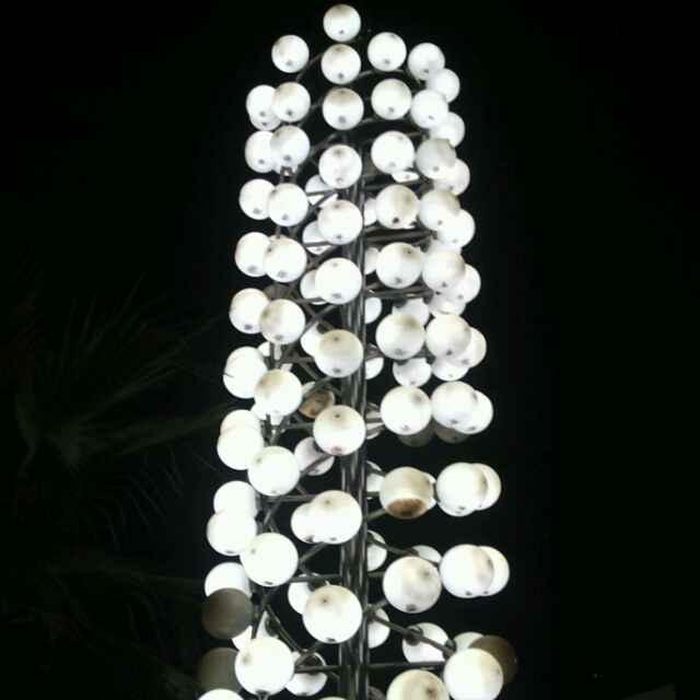 寧缺毋濫的頭像