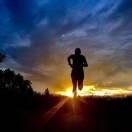 愛和自由的頭像