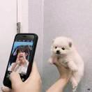 S.COUPS／.?的頭像