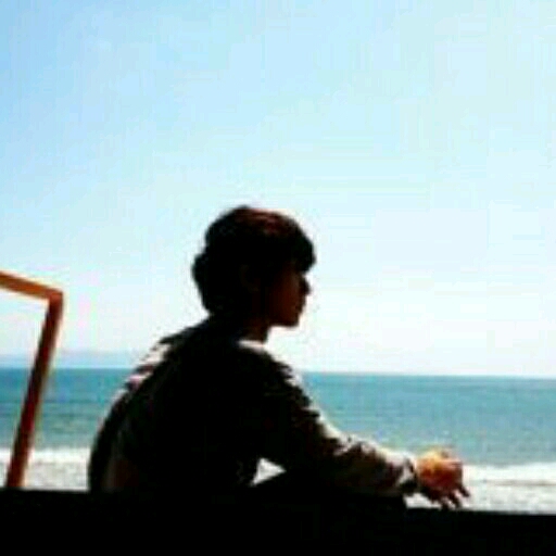 午后陽(yáng)光下的貓咪的頭像