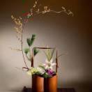 止于至善的頭像