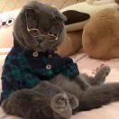 you滴答滴答me,I嘩啦嘩啦you的頭像