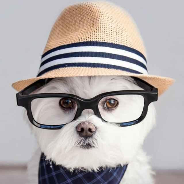 別不好意思的頭像