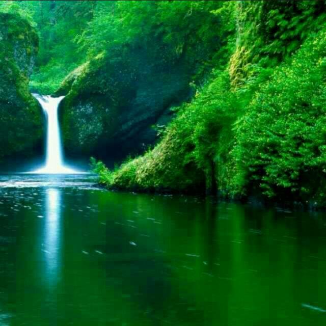 悠然如夢的頭像