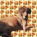 噠噠噠；）的頭像