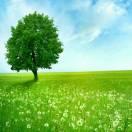 追逐至上的頭像