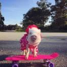 AAA淺笑的頭像