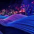 你的選擇的頭像