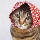 王懟懟、?的頭像