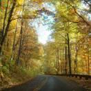 萌萌寶貝的頭像