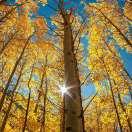 雨過天晴的頭像