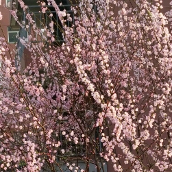 快樂的生活的頭像