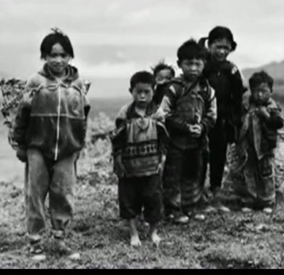 卸不掉的裝的頭像